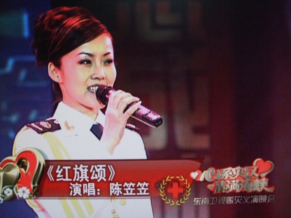 東南衛(wèi)視賑災義演晚會